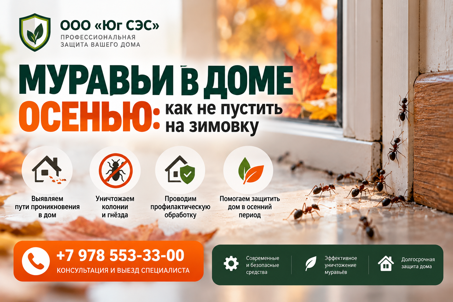 Муравьи в доме осенью: как не пустить на зимовку | ООО «Юг СЭС»