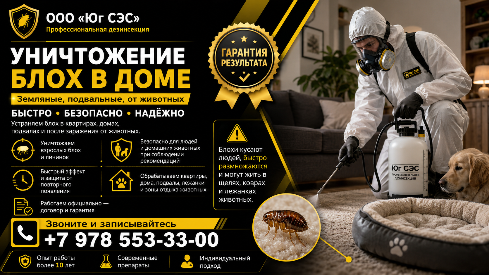 Уничтожение блох в доме: земляные, подвальные, от животных | ООО «Юг СЭС»